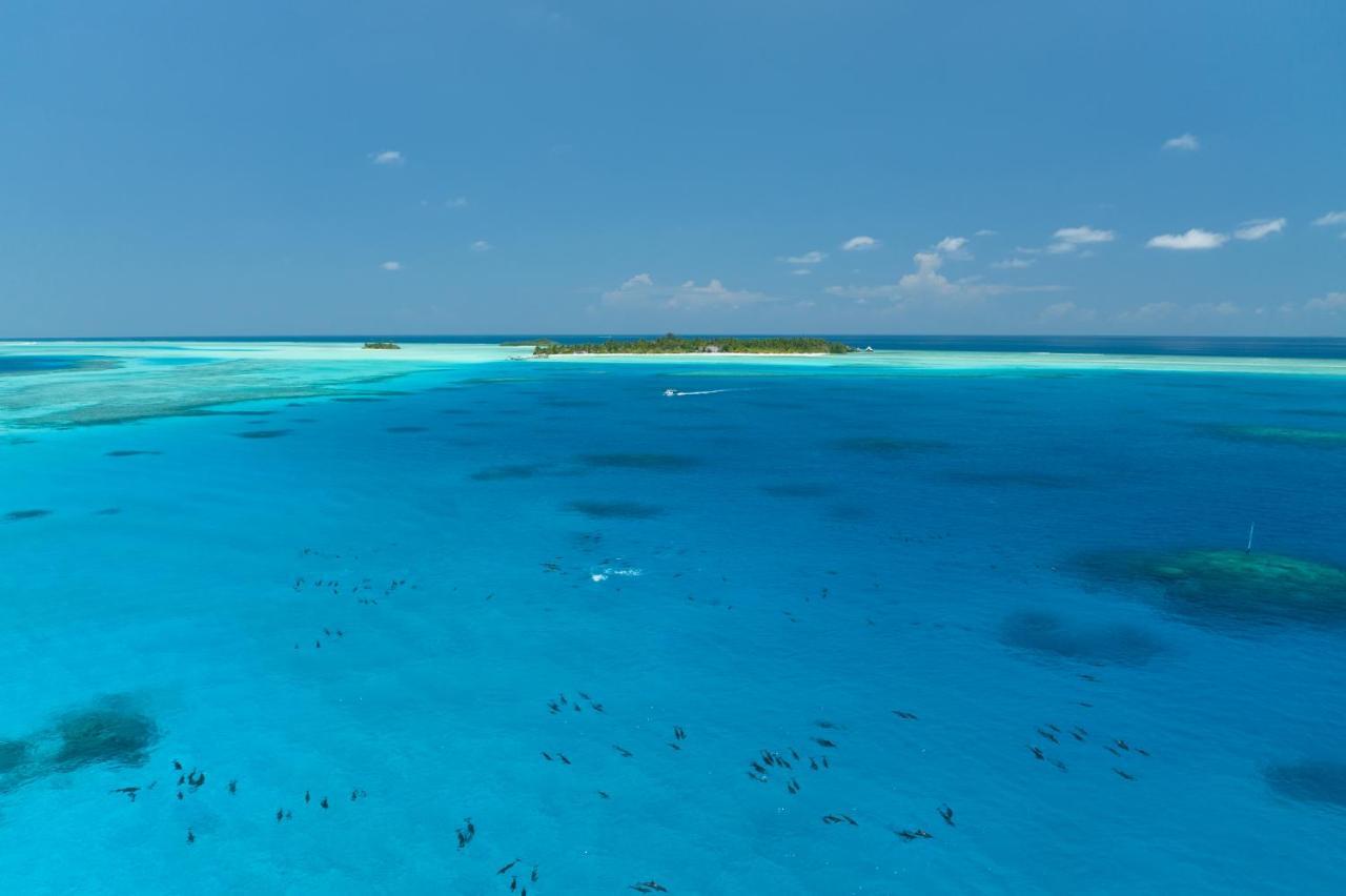 Rihiveli Maldives 4*
